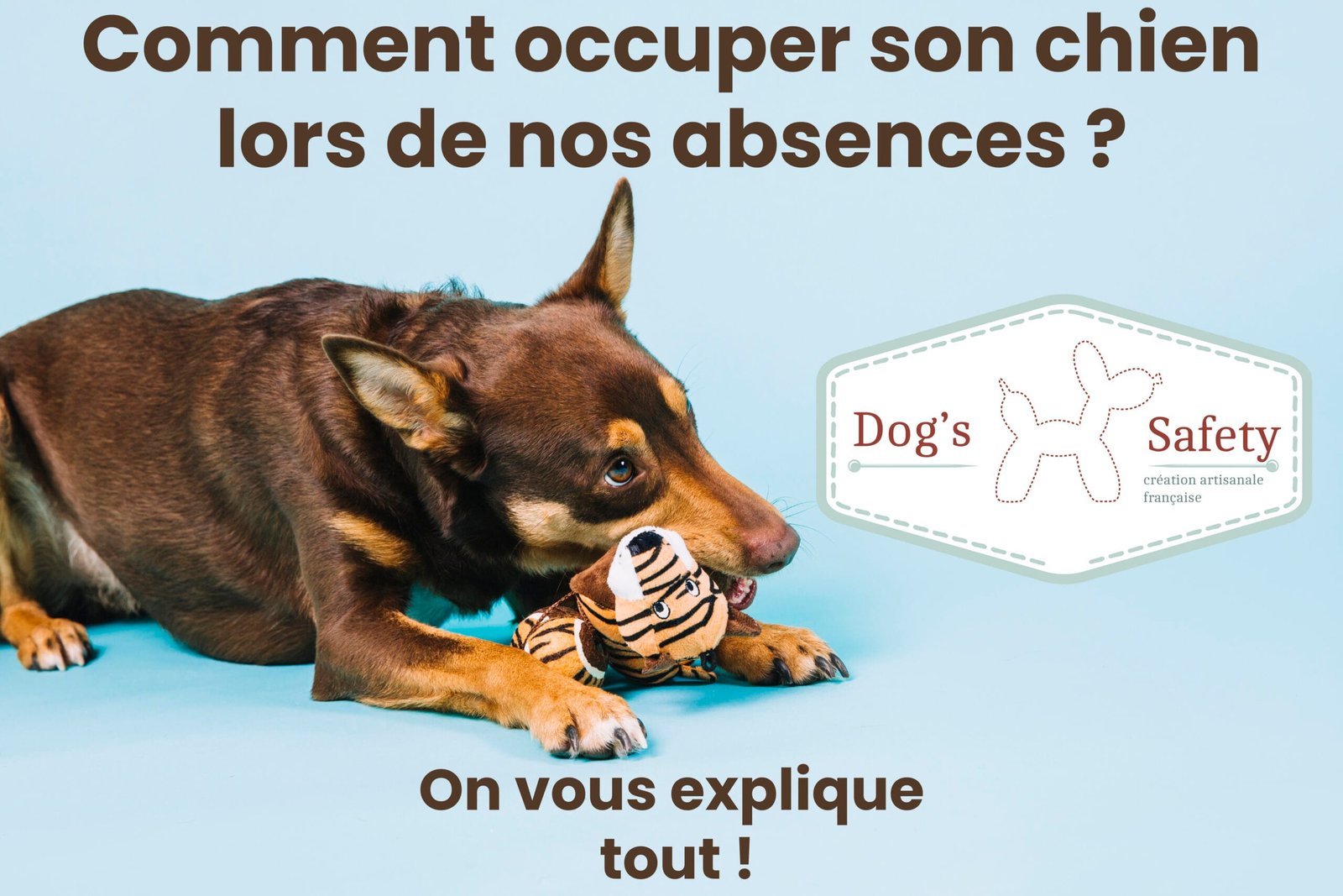 Comment Occuper Son Chien Lors De Nos Absences ? - Dog's Safety ...