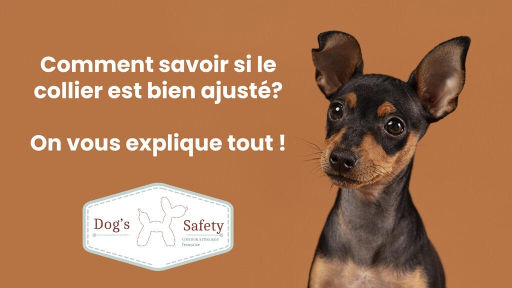 comment savoir si le collier est bien ajuste titre
