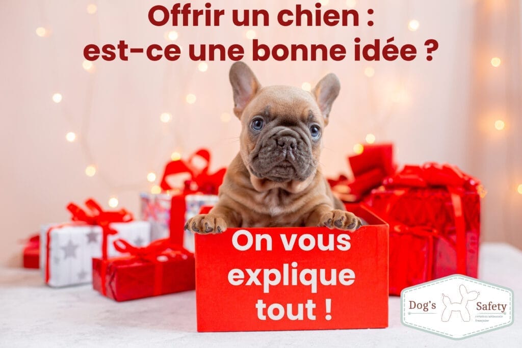 offrir un chien pas bonne idée