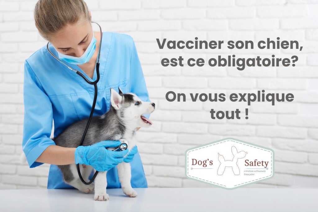chien vaccin vétérinaire loi