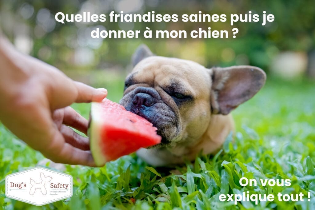 Quelles friandises saines puis je donner à mon chien ?