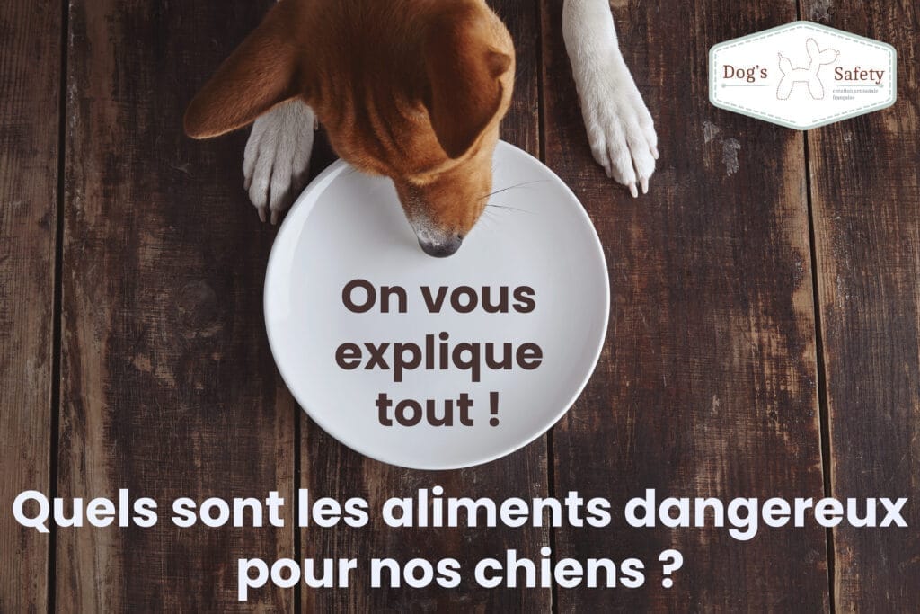 Quels sont les aliments dangereux pour nos chiens