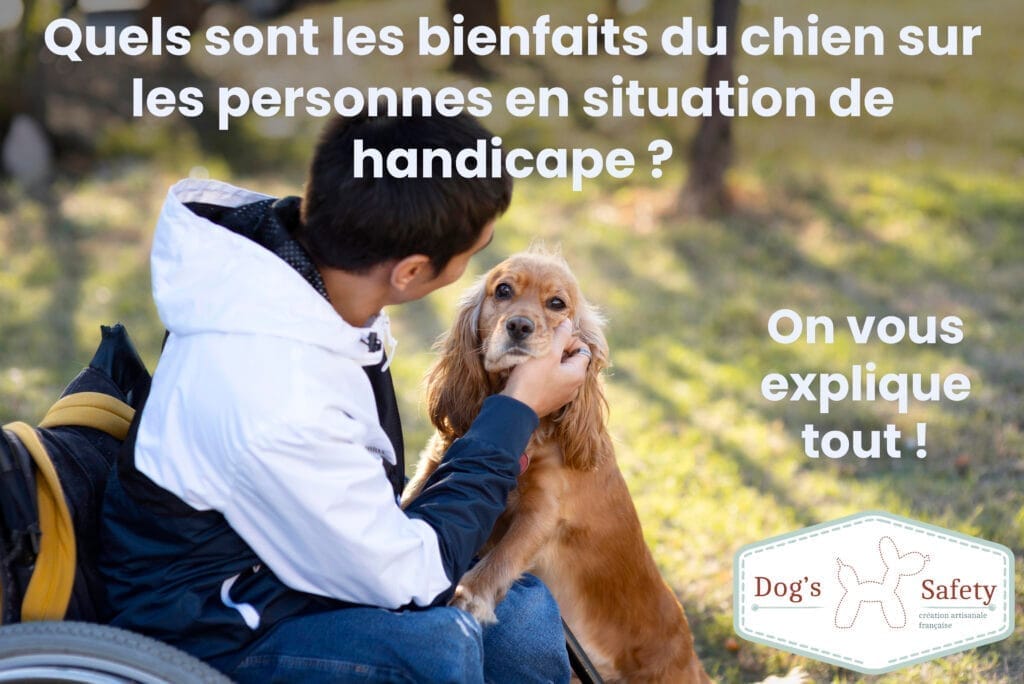 Quels sont les bienfaits du chien sur les personnes en situation de handicape