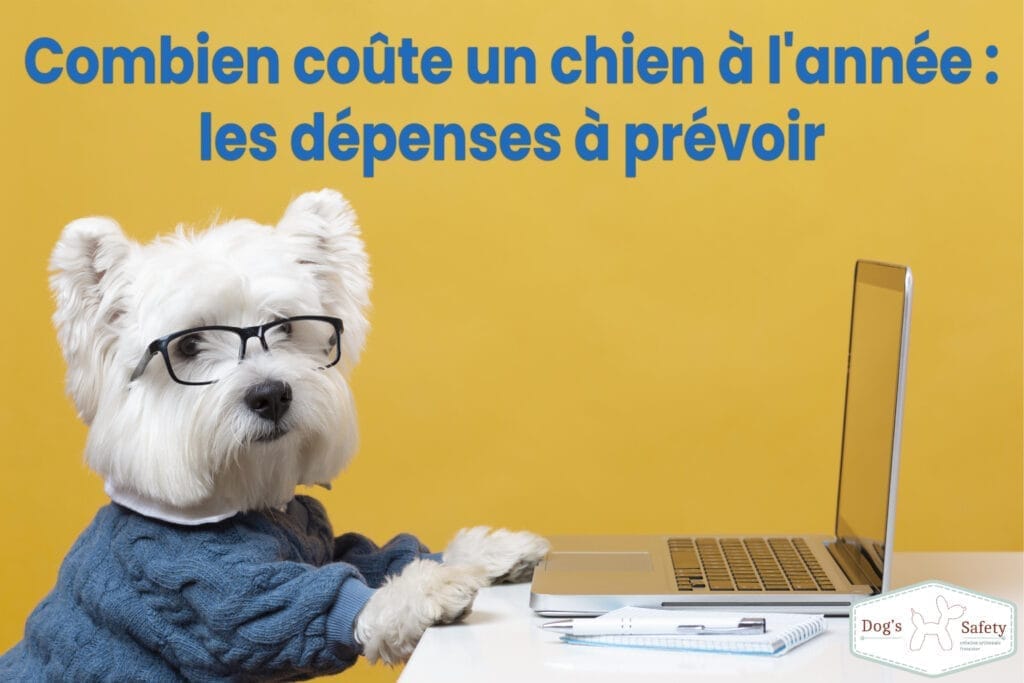 Combien coûte un chien à l'année : les dépenses à prévoir animal savant compte