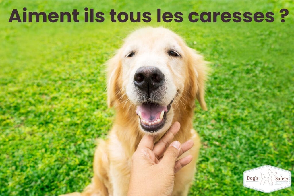Les chiens aiment ils tous les caresses ? mignon chien marron souriant joyeusement et fermant les yeux de plaisir