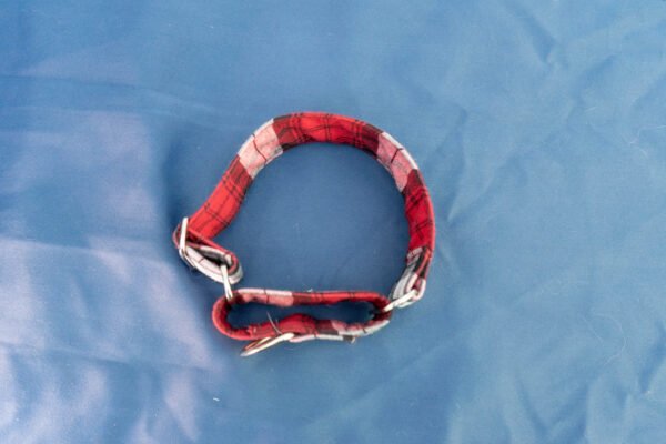 collier martingale à carreaux rouges et blanc chien lévrier ou autres races