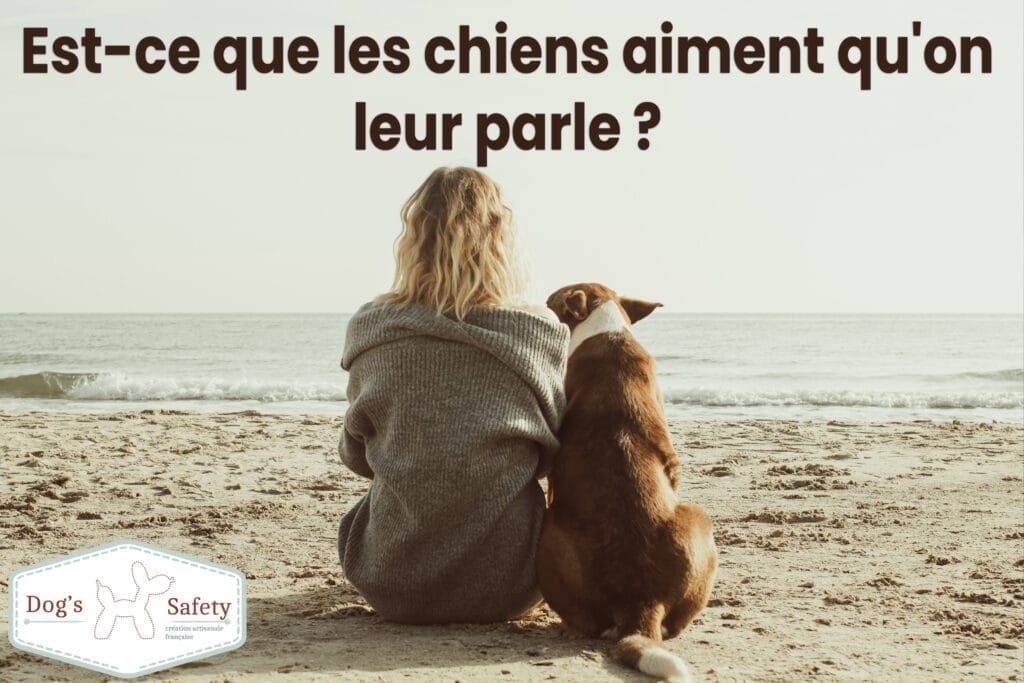 les chiens aiment ilsqu'on leur parle