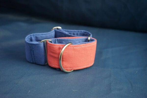 Collier Martingale Rose & Bleu par devant