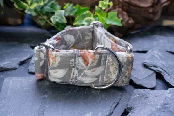 collier chien martingale dog's safety en 5 cm ou 50 mm modele libellule vue de trois quart