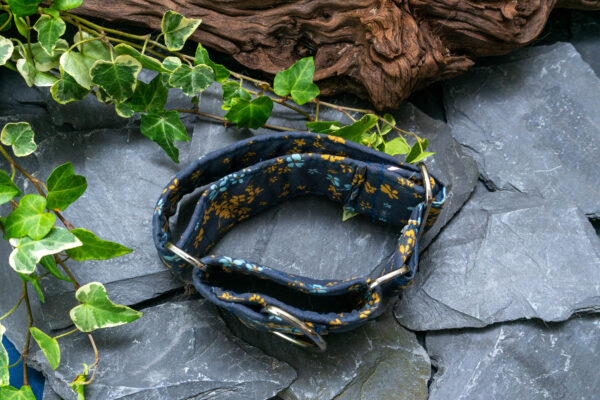 collier chien martingale dog's safety en 5 cm ou 50 mm modele hirondele vue de haut