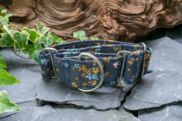 collier chien martingale dog's safety en 5 cm ou 50 mm modele hirondele vue de trois quart